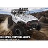  Remo hobby 2.4G 1/10 RC 4WD ORV Brushed Rock Crawler OPEN-TOPPED JEEP